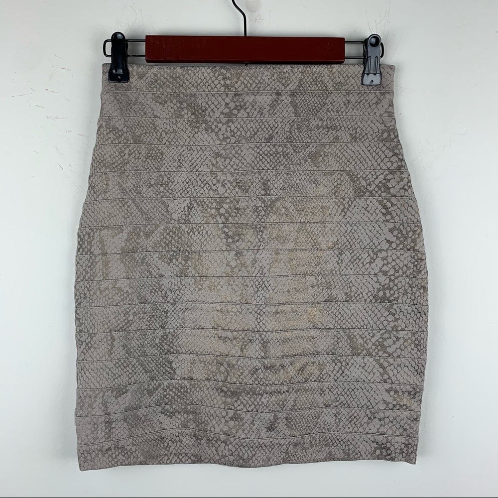 Express bodycon skirt